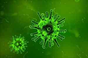 За сутки в Поморье 129 человек заболели коронавирусом