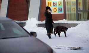 В ночь с 8 на 9 марта в Архангельске ожидается похолодание до -35 °С