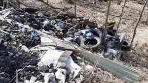 Активисты ОНФ нашли незаконную мусорную свалку в гаражном кооперативе Новодвинска
