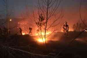 В Архангельской области сгорела деревня из-за пала травы