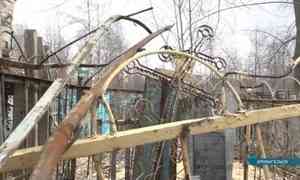 Глава Ломоносовского района Архангельска прокомментировала массовые повреждения захоронений на Ильинском кладбище