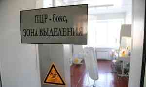 В Архангельской области за сутки коронавирусом заболел 51 человек
