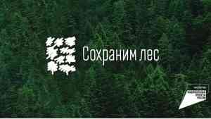 Поморье готовится к Всероссийской акции «Сохраним лес»
