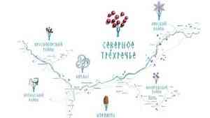 В Поморье продвигают туристский кластер «Северное Трехречье»