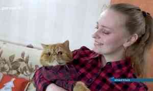Архангельский кот Рыжик покоряет американские инстаграм и ТикТок