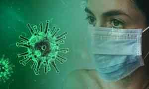 Суточный прирост заболевших коронавирусом в Поморье составил 531 случай