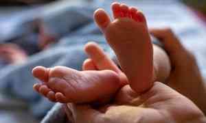 Госдума поддержала законопроект о регистрации новорождённых по месту жительства родителей, разработанный архангельским депутатом