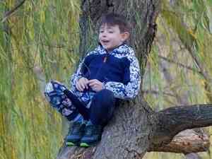 В Архангельске мальчик залез на дерево — на три метра над землёй. Снимать его оттуда приехали спасатели