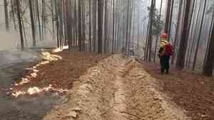 Архангельские лесные пожарные продолжают оказывать помощь другим регионам в тушении пожаров
