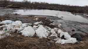 Снежный полигон в Архангельске утопает в бытовом мусоре 
