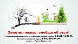 Сил и средств ЕЛЦ хватит для защиты лесов Архангельской области от пожаров