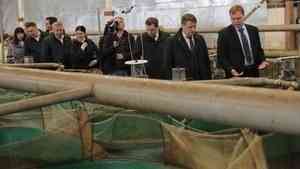 Глава Росрыболовства Илья Шестаков и губернатор Александр Цыбульский посетили Солзенский лососевый завод