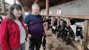 Грант правительства Архангельской области поможет развить производство сыров в Котласском районе