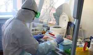 В Поморье за сутки диагноз коронавирус подтвердили у 53 человек, 1 человек умер