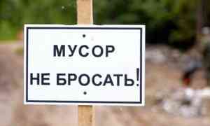 59 лесных свалок ликвидируют в Архангельской области до конца года