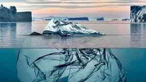 Вопросы охраны окружающей среды в Арктике обсудят на конференции в Архангельске