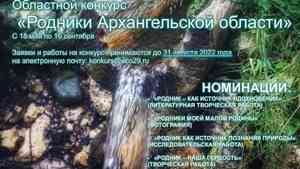 Северян приглашают к участию в природоохранном конкурсе «Родники Архангельской области»