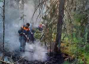 Более тысячи пожарных ликвидируют очаги природных пожаров в Югре