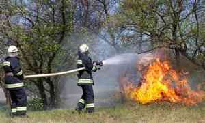 Жителям Архангельской области запретили посещать лес из-за угрозы пожара