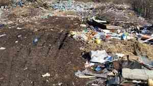 Временная мусорная площадка на Хабарке превратилась в зловонный полигон