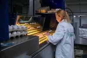 На Котласской птицефабрике готовят к открытию новый цех по производству столового яйца