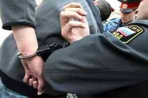 Хулиган из Новодвинска поднял руку на полицейского