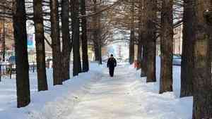 Морозная погода установилась на всей территории Архангельской области