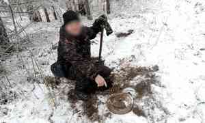 В Плесецком районе местный житель нашёл противотанковую мину времён Отечественной войны