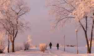 1 декабря в Архангельской области возможны туман и гололёд