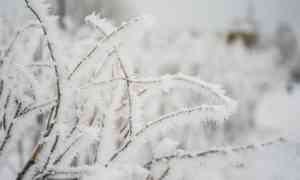 6 декабря в Архангельской области будет морозно