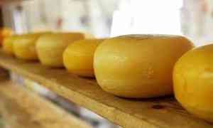 В соцучреждениях Архангельской области обнаружили фальсифицированный сыр из Татарстана