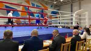 Более 200 боксеров выйдут на ринг в Северодвинске Более 200 боксеров выйдут на ринг в Северодвинске