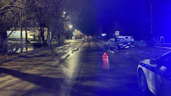 Две северянки попали под колеса автомобиля в Архангельской области