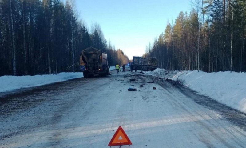В Холмогорском районе в ДТП с лесовозом погибли два человека
