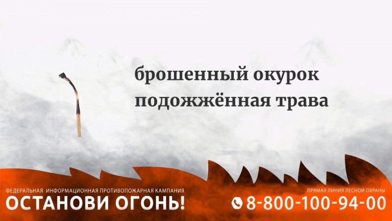 В лесах Архангельской области в майские праздники будет усилено патрулирование