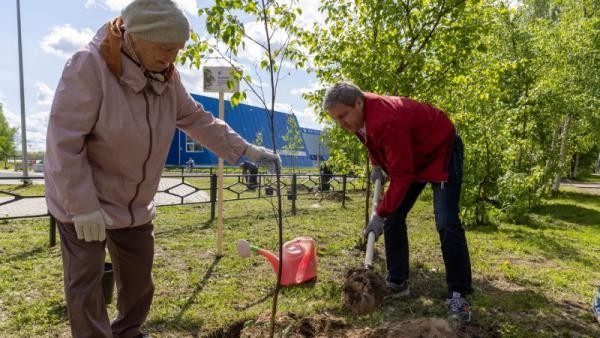 Глава Архангельска вместе с общественниками высадил деревья в сквере на Химиков