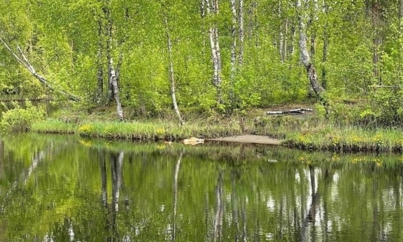В Северодвинске на реке Кудьма утонул мужчина