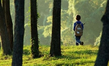 В лесах Пинежского района потерялся мальчик