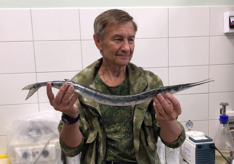 В «Онежском Поморье» обнаружили тропическую рыбу