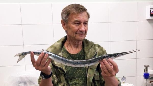 В Белом море поймали редкую остроносую рыбу: что это за вид