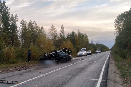 ДТП в Северодвинске унесло жизни двух человек