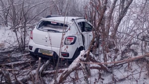 Под Северодвинском автоледи вылетела с дороги и врезалась в деревья