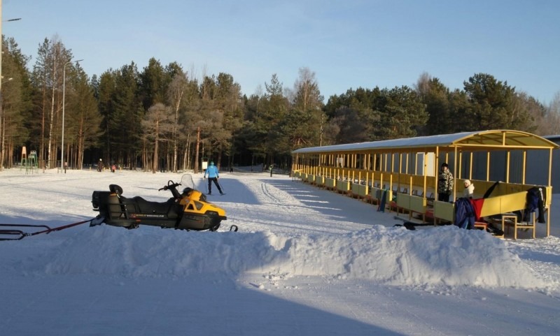 В Ягринском сосновом бору формируется лыжня для соревнований и прогулок