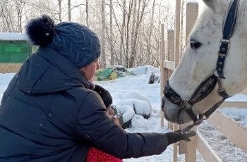 «Всё преодолеем»: в Архангельске стартовал новый проект по поддержке семей участников СВО