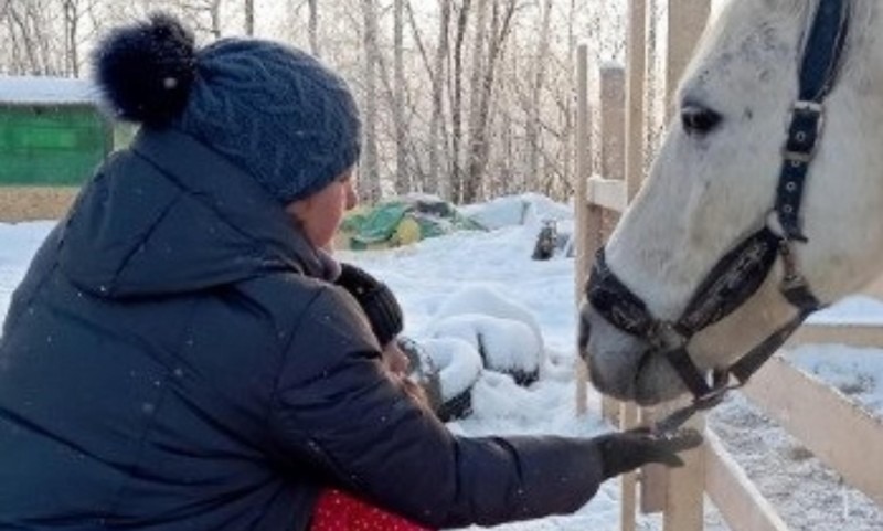 Новый проект поддержки семей участников СВО стартовал в Архангельске