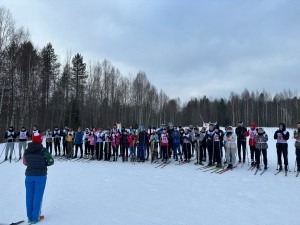 В САФУ прошли чемпионат и лично-командное первенство по лыжным гонкам