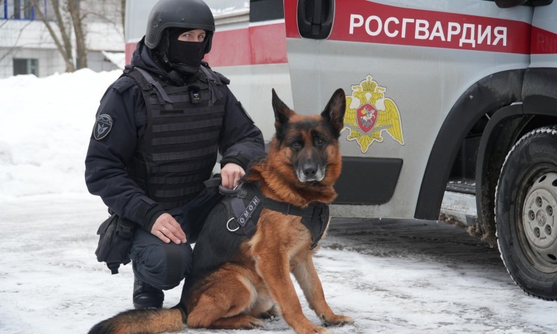 Собака Росгвардии нашла схрон с тротилом в Архангельской области