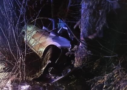 В Онеге произошла авария со съездом автомобиля с дороги, один человек пострадал