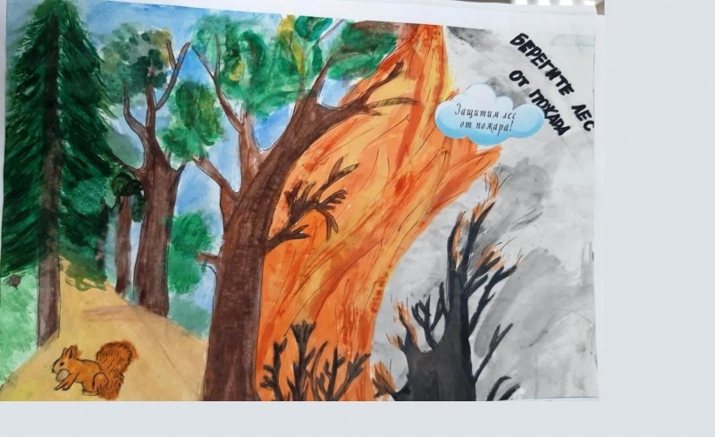 Стартовал областной творческий конкурс «Защитим лес от пожаров – 2024»