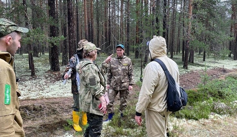 Опыт Архангельской области по лесоустройству будет изучен и рекомендован к применению во всех лесных регионах страны